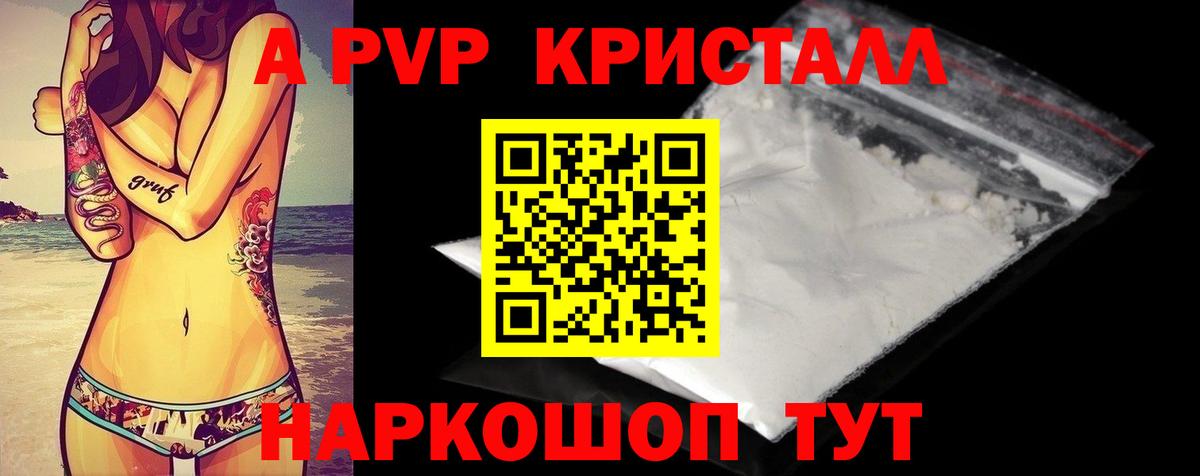 A PVP СК Кондопога