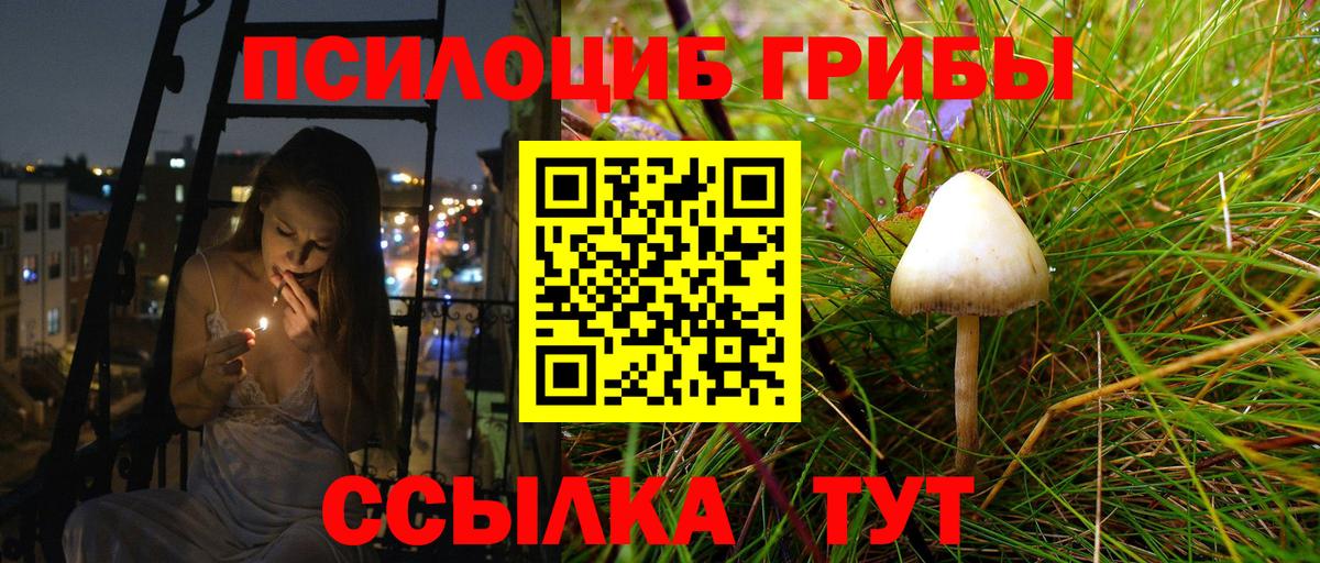 Галлюциногенные грибы Cubensis Кондопога