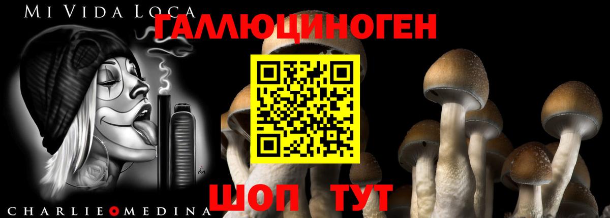Псилоцибиновые грибы ЛСД  Вход с VPN  Псилоцибиновые грибы Magic Shrooms  Кондопога 